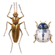 See some of your favorite pop culture characters, including this familiar-looking Star Wars duo, made into bugs in some amazing art by Richard Wilkinson.